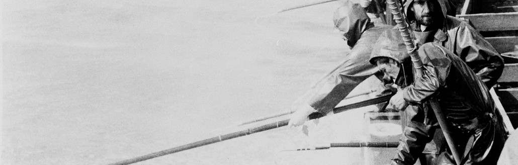 Fishing of white tuna albacore